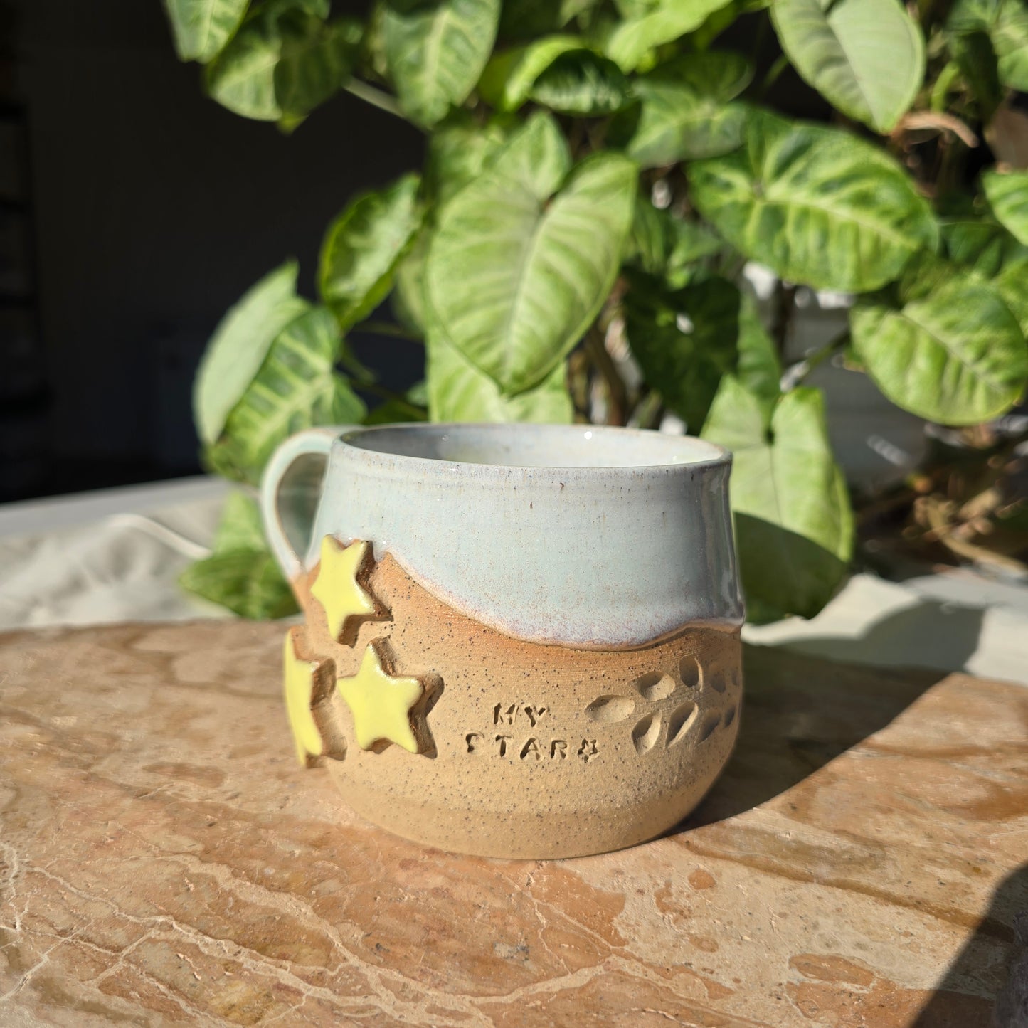 My Star Mug 2