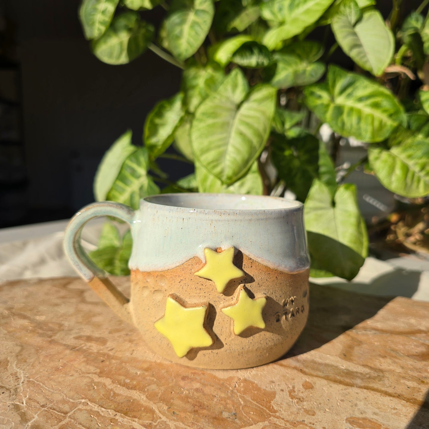 My Star Mug 2