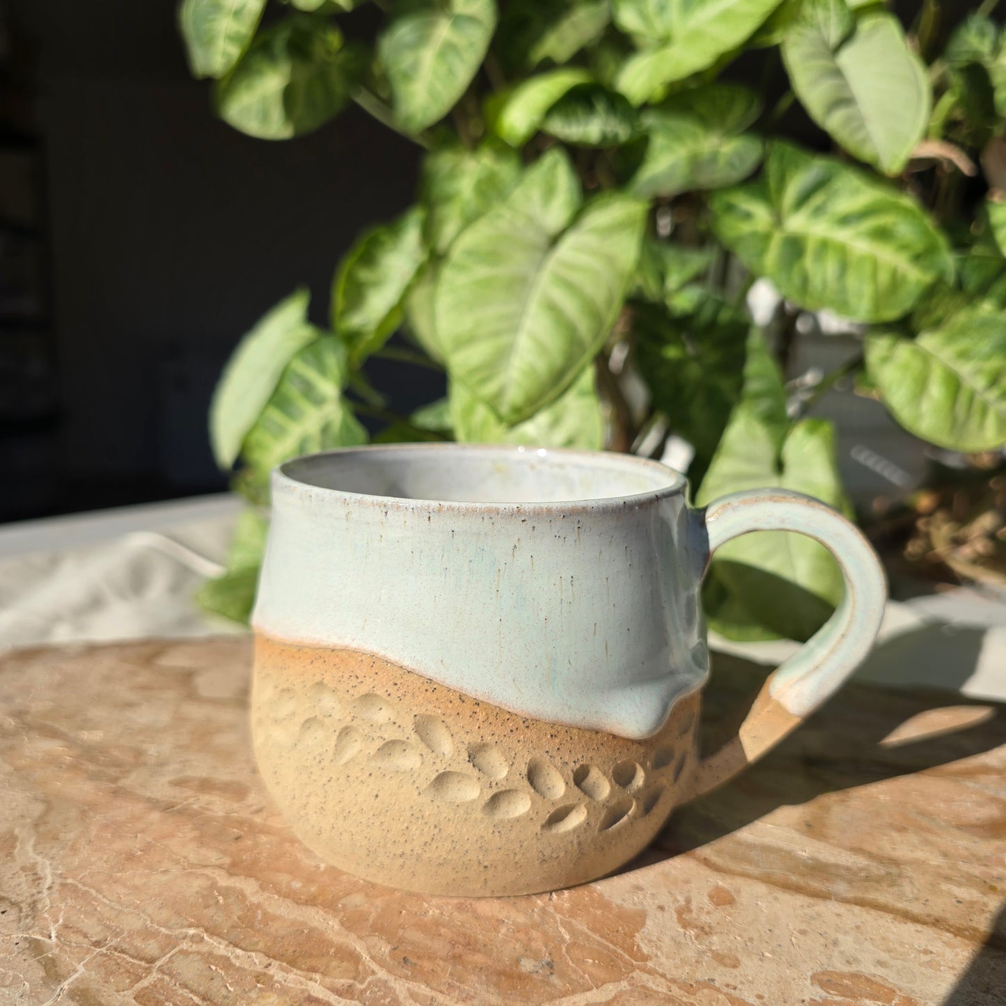 My Star Mug 2