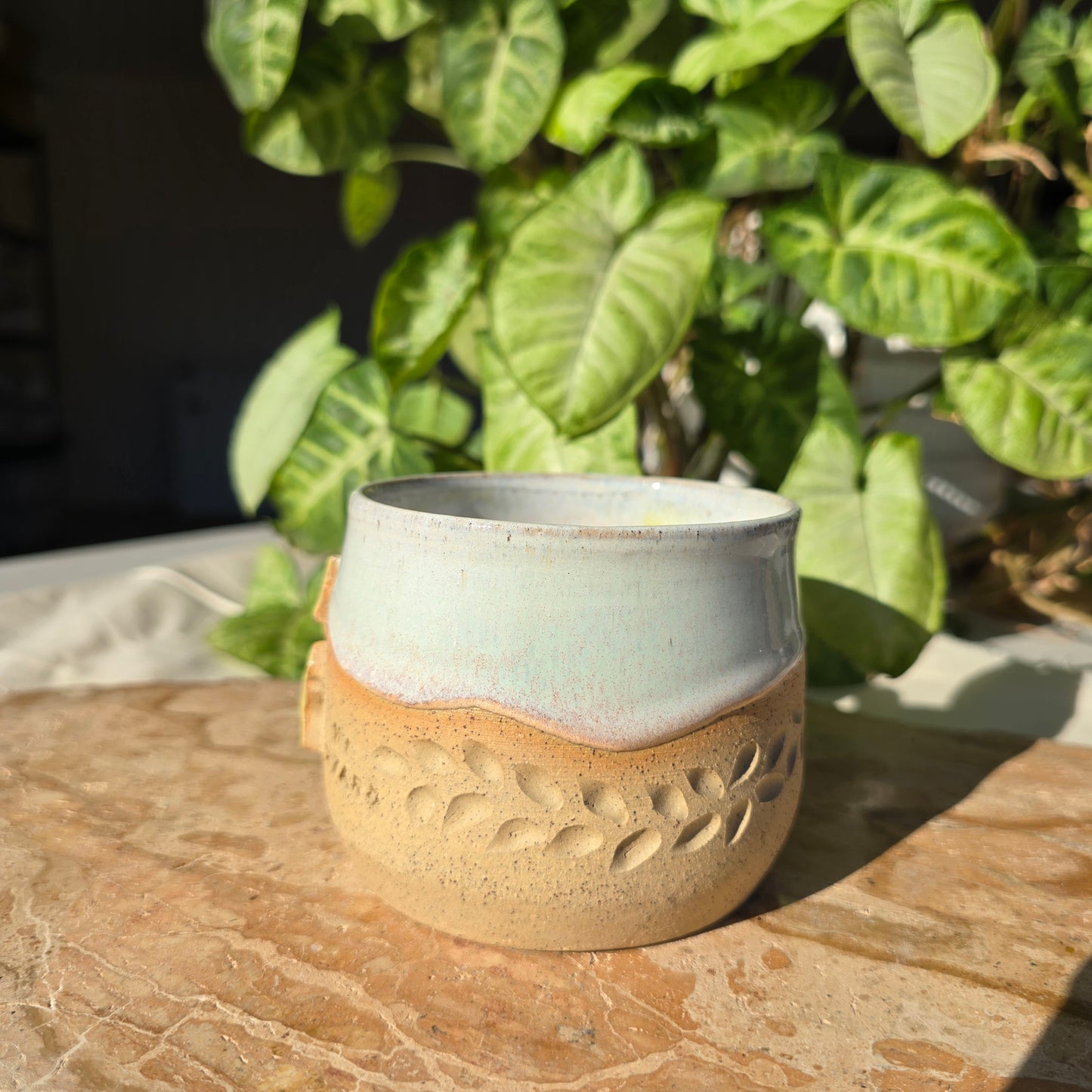 My Star Mug 2